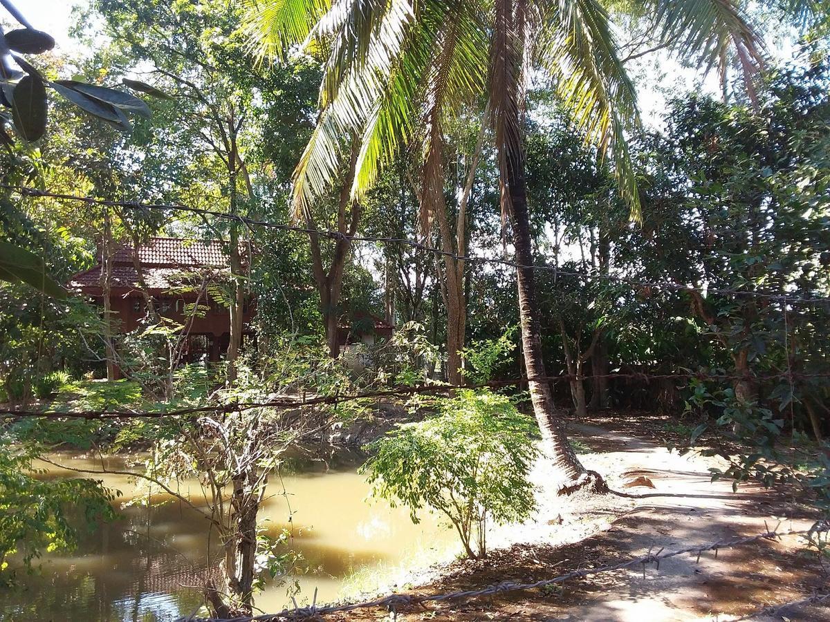 Your Home In Mae Rim Ban Muang Pha Εξωτερικό φωτογραφία