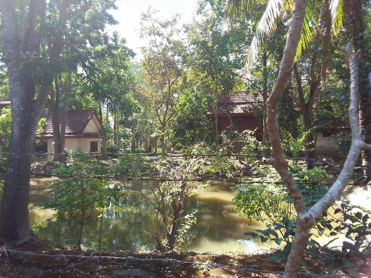 Your Home In Mae Rim Ban Muang Pha Εξωτερικό φωτογραφία