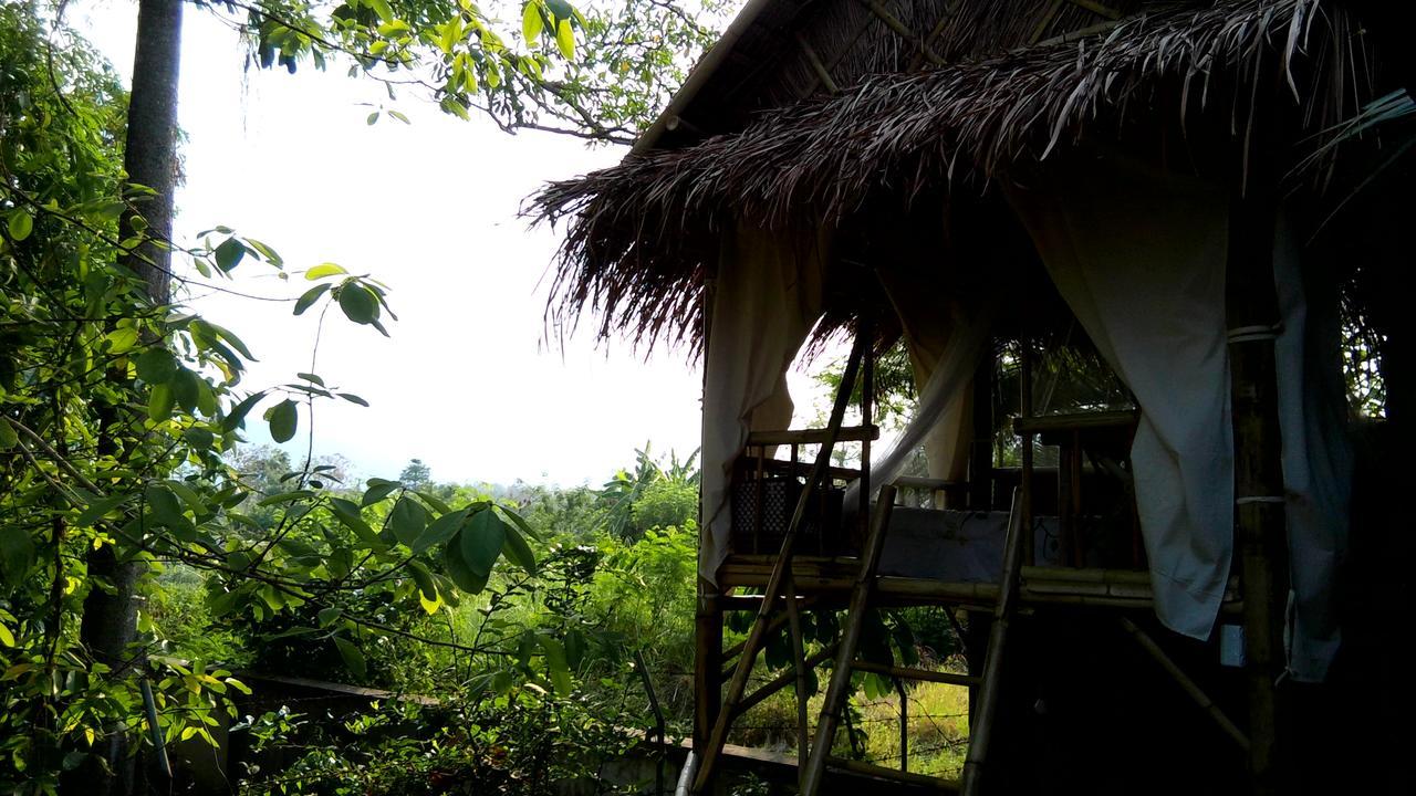 Your Home In Mae Rim Ban Muang Pha Εξωτερικό φωτογραφία